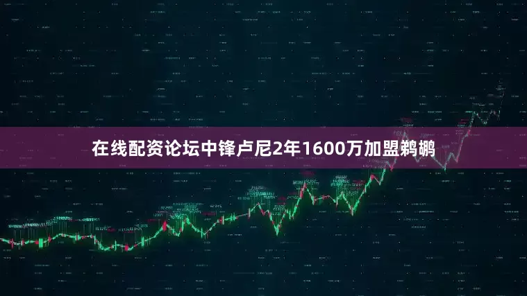 在线配资论坛中锋卢尼2年1600万加盟鹈鹕